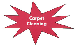 carpet.jpg (16512 bytes)